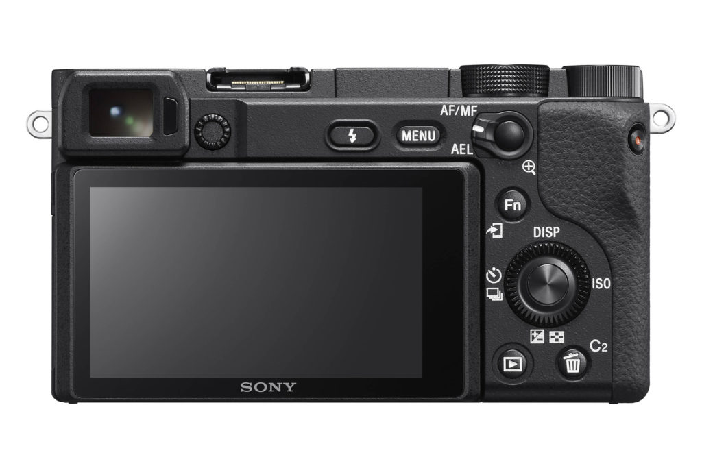 Sony a6400 for birds in flight