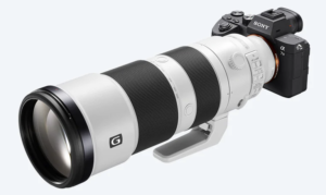The Sony AR74 and the Sony 200-600 f5.6-6.3 lens, a non-functional combination for birds in flight? Home The Sony AR74 and the Sony 200-600 f5.6-6.3 lens,  a non-functional combination for birds in flight?