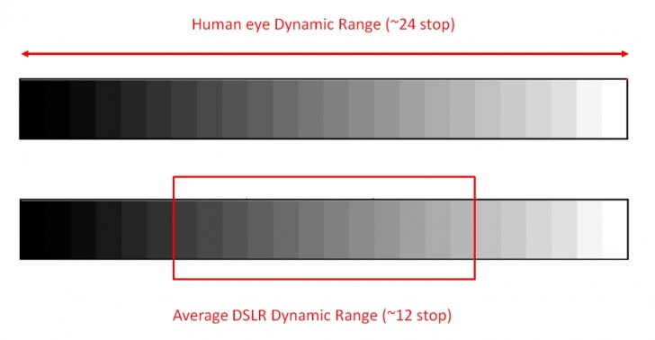 Dynamic Range on Olympus vs Sony cameras for birds in flight