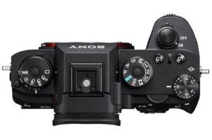 Sony A9 focus accuracy – birds in flight hit rate