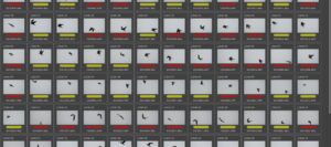 New Lightroom workflow for improved high frame rate bird photography Home New Lightroom workflow for improved high frame rate bird photography