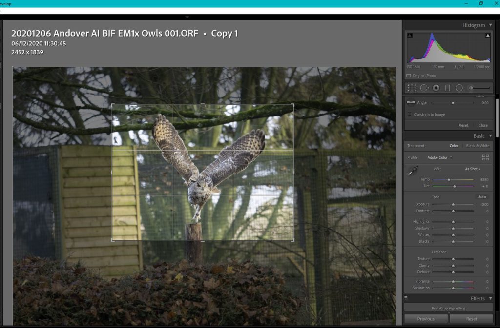 Post-processing workflow 