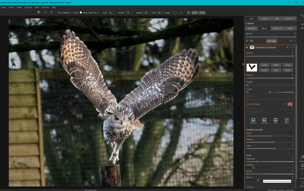 Post-processing workflow for birds in flight