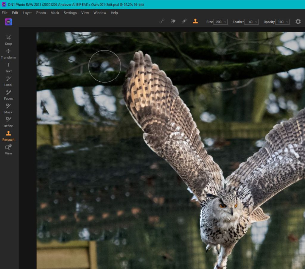 Post-processing workflow for birds in flight