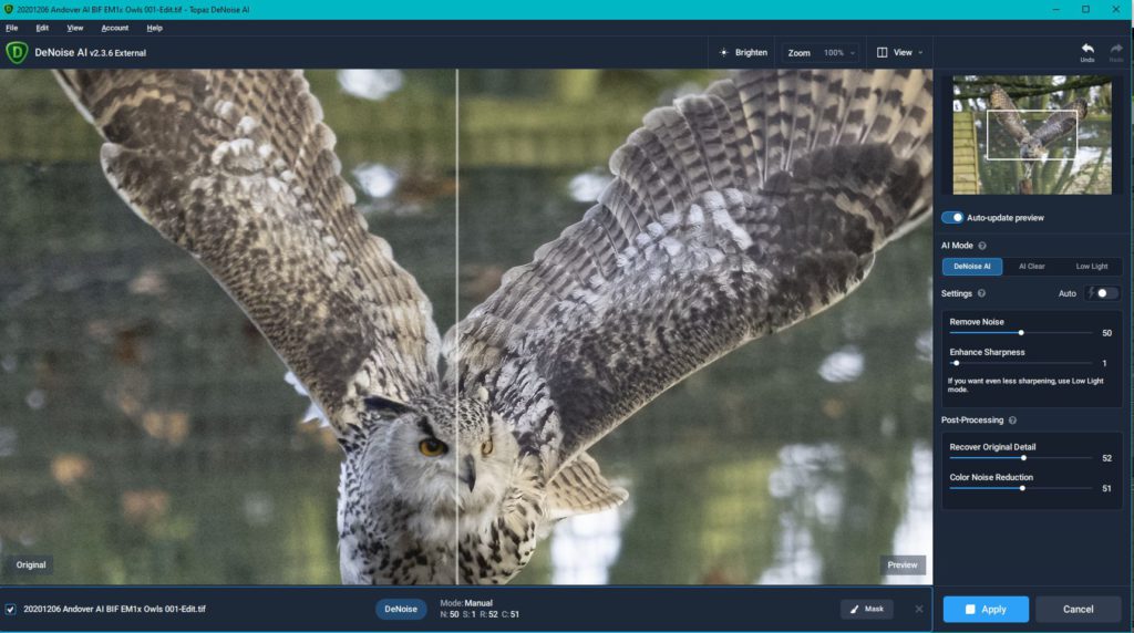 Post-processing workflow for birds in flight