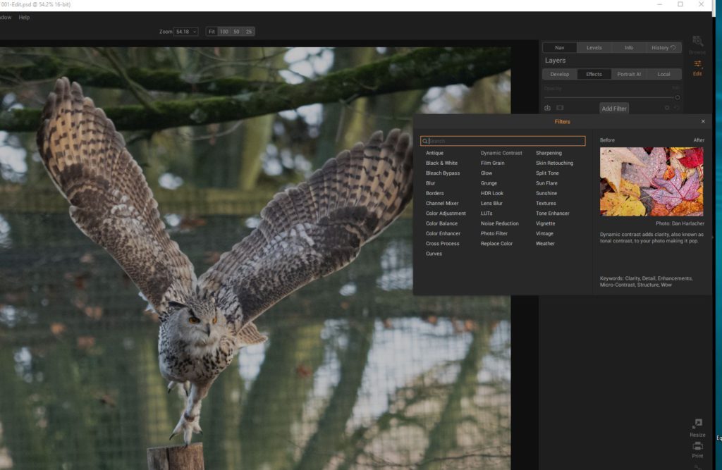 Post-processing workflow for birds in flight