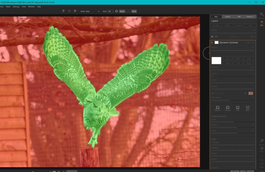 Post-processing workflow for birds in flight