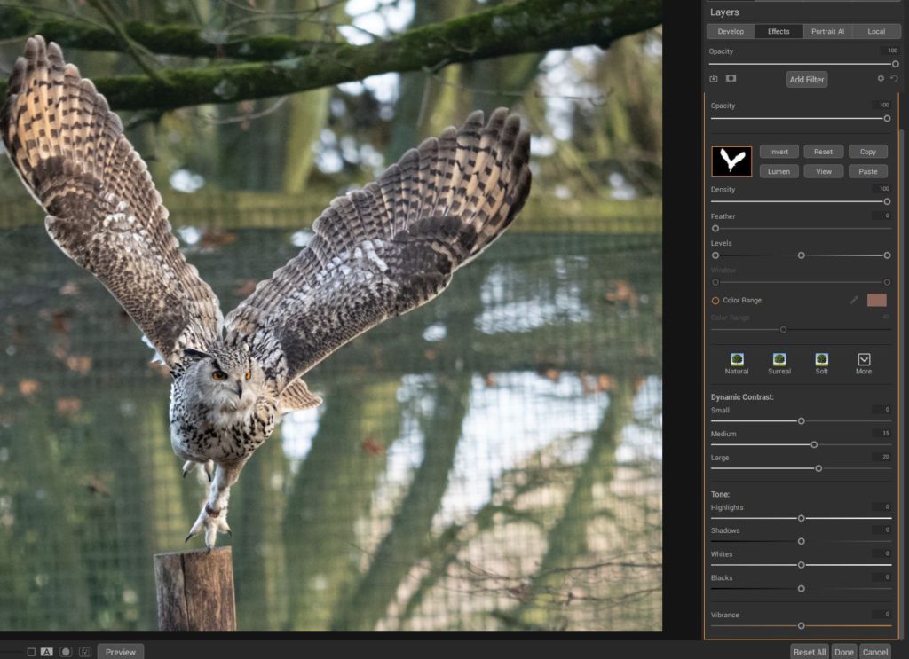 Post-processing workflow for birds in flight