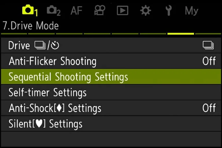 My OM1 birds in flight settings