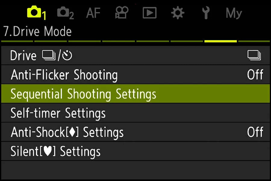 My OM1 birds in flight settings