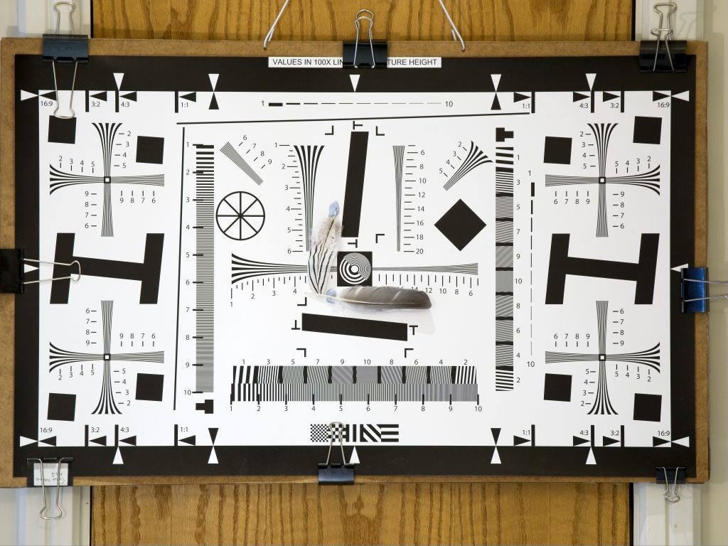 Best Olympus pro telephoto - surprising test results