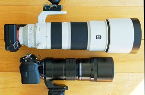 Best Olympus pro telephoto - surprising test results Home Best Olympus pro telephoto  – surprising test results
