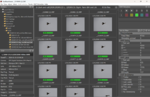 Using FastRawViewer to cull thousands of images Home Using FastRawViewer to cull thousands of images