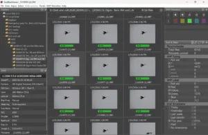 Using FastRawViewer to cull thousands of images