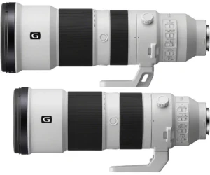 OM vs Sony zooms: focus accuracy shootout Home OM vs Sony zooms: focus accuracy shootout